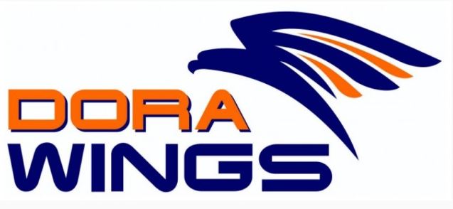 Dora wings